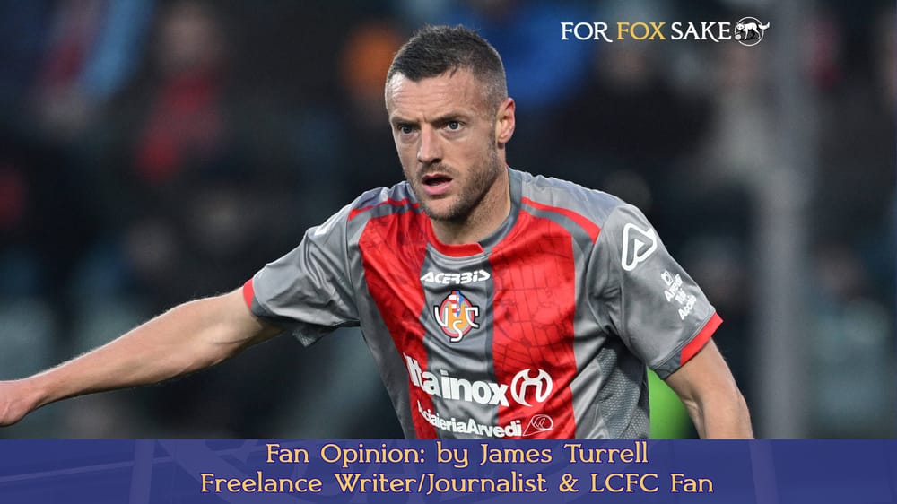 Fan Opinion 2